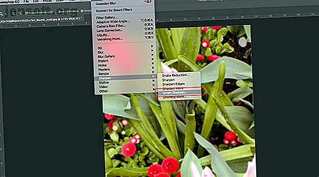 Comment accentuer les photos dans Photoshop Filter Smart Sharpen