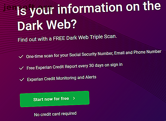 Page d'informations sur la numérisation Experian Dark Web