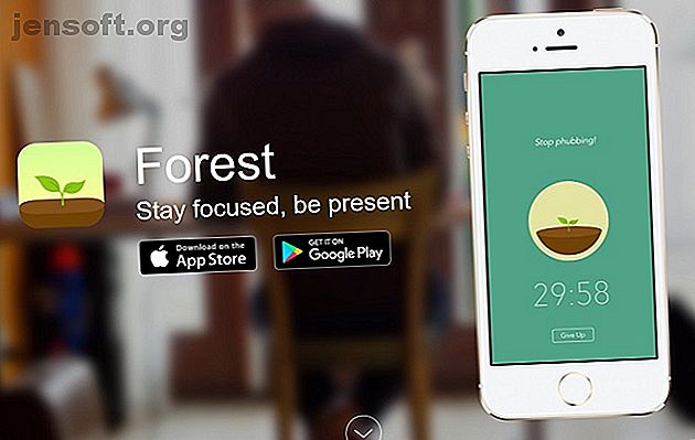 Capture d'écran du site Web de l'application forestière