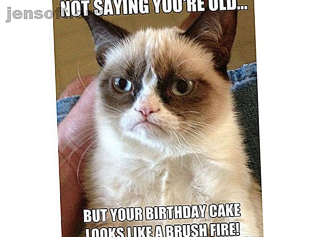 Meme d'anniversaire chat grincheux