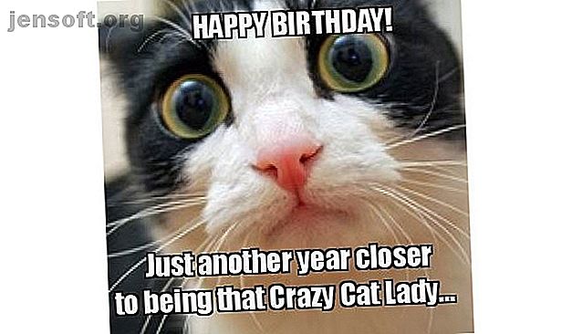 Crazy Cat Lady Anniversaire Meme