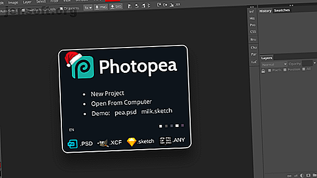 Adobe Photoshop costa un bel centesimo.  Ma puoi ottenere la maggior parte delle sue migliori funzionalità gratuitamente tramite alcuni strumenti online.