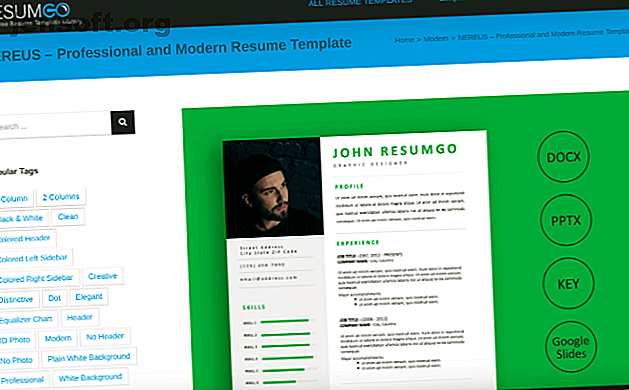 ResumGo a des milliers de modèles de CV et CV gratuits à télécharger