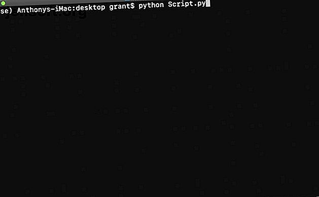 Script Python dans un terminal