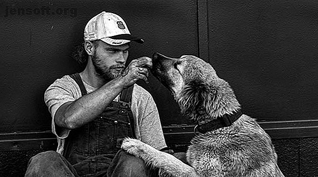 Ceci est une photo d'un gars nourrir un chien