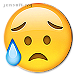 pleurer déçu emoji emoticon