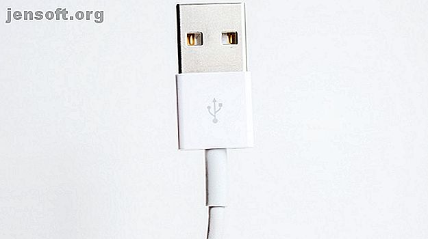 iPhone iPad Câble d'éclairage USB Apple