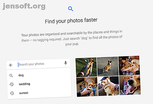 Capture d'écran du site Web Google Photos décrivant l'identification d'une photo