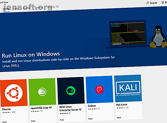 Choisissez une version de Linux à installer dans Windows 10